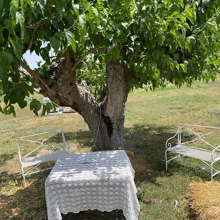 La Massaria Agriresort *