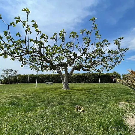 Κατάλυμα σε φάρμα La Massaria Agriresort *