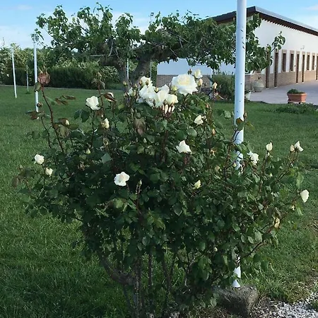 La Massaria Agriresort Κατάλυμα σε φάρμα