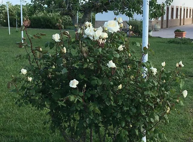 La Massaria Agriresort Lantgård