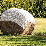 Farm stay La Massaria Agriresort *
