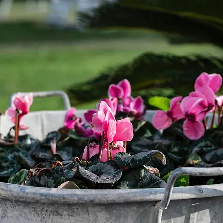 La Massarìa Agriresort Alloggio per agriturismo Orta Nova