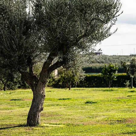 La Massarìa Agriresort * Orta Nova