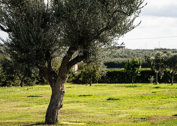 La Massaria Agriresort * Orta Nova