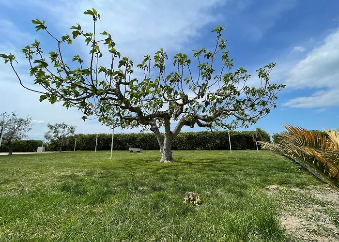 팜스테이 La Massaria Agriresort *